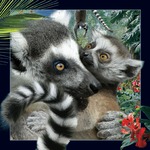 Pocztówka 3D - Lemur