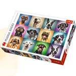 Puzzle 1000 Zabawne psie portrety