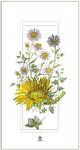 Karnet kwiaty słonecznik DaVinci 12x23 cm + koperta (G06 42A 326)