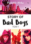 Story of Bad Boys 1 *