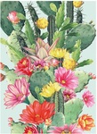 Karnet B6 Cactus Flower z kopertą
