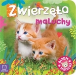 Album malucha Zwierzęta maluchy. Sztywniaczek