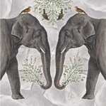 Karnet kwadrat Indian Elephant z kopertą