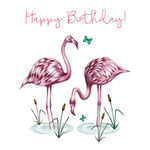 Karnet Swarovski kwadrat CL0303 Urodziny Flamingi