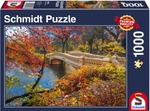 Puzzle 1000 central Park, New york