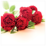 Karnet kwiatowy KW FF70 czerwone róże