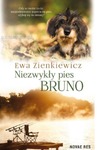 Niezwykły pies Bruno