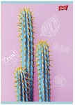 Zeszyt A5 60k kratka # laminowany Cacti