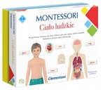 Montessori ciało ludzkie