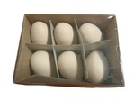 Jajka plastikowe wielkanocne kurze 6cm (1 opak = 6szt) WPJ-8927