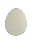 Jajka plastikowe płaskie 14x11x2cm (1 opak = 6 szt) BKP-9299