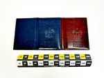 Okładka na paszport seria NES