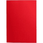Papier ozdobny (wizytówkowy) Galeria Papieru holland chińska czerwień A4 czerwony 220g