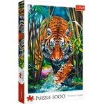 Puzzle 1000 elem Drapieżny tygrys