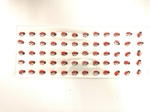 Biedronki białe-czerwone z tworzywa sztucznego  13mm 60szt