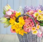Serwetka Lunch Spring Mix Flowers in Basket SLWI007601