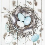 Serwetki Daisy Wielkanoc lunch - Pastel Blue Eggs in natural Nest SDWL007801