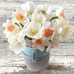 Serwetka Lunch Wiosna - Cup Full of White Daffodils SLWI006701