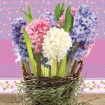 Serwetka Lunch Wiosna - Hyacinths in a Basket SLWI005201
