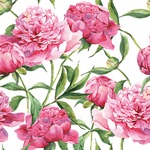 Serwetki Lunch Tete a Tete Pink Peonies 33x33 20szt./op.