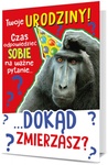 Karnet B6 Urodziny - Małpa, dokąd zmierzasz? K.B6-1700