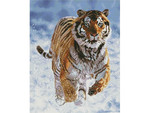 Mozaika diamentowa 40x50cm Tygrys w śniegu
 Diamond painting