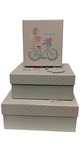 Zestaw pudełek prostokąt szary beż wieczko rower (3szt) (25,5x20,5x10,5, 21,5x17,5x9,5, 16,5x14,5x8,5cm)