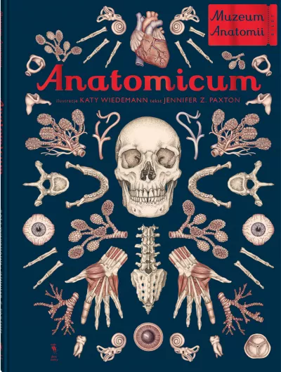 Anatomicum. Muzeum Anatomii