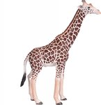 Figurka Żyrafa samiec