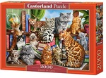 PUZZLE 2000 HOUSE OF CATS