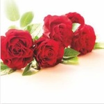 Karnet kwiatowy kwadrat 5 czerwonych róż FF070