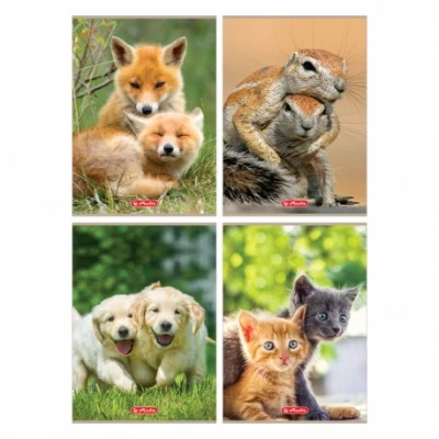 Zeszyt A4 32 kartek kratka Animals