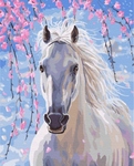 Malowanie po numerach - Biały koń 40x50cm