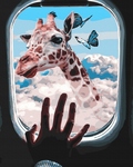 Malowanie po numerach - Safari w chmurach 40 x 50 cm