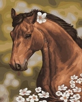 Malowanie po numerach - Koń z rumiankiem40 x 50
