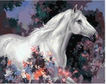 Malowanie po numerach - Koń w kwiatach 40x50cm