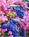 Malowanie po numerach - Ptaki w kwiatach 40x50cm