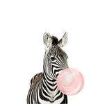 Malowanie po numerach - Zebra huba-booba 40 x 50 cm