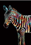 Magiczna zdrapka Zebra
 40.5x28.5 cm