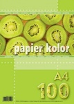 Papier A4 100 zielony jasny