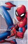 Karnet Disney Spider Man, bez tekstu (11,5x18cm) DHS-001