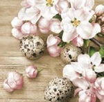 Serwetki Daisy Wielkanoc lunch - Quail Eggs with Apple Blossom SDWL010501