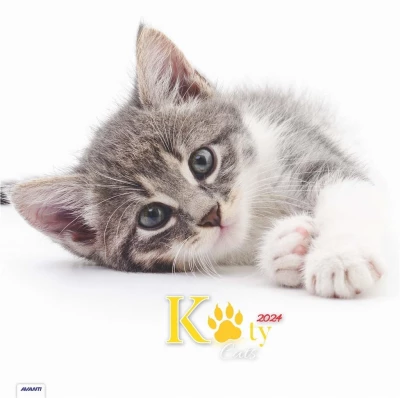 Kalendarz ścienny albumowy duży 2024 Koty
 KAD-9