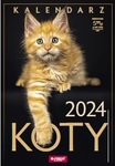 Kalendarz ścienny A4 2024 Koty