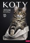 Kalendarz ścienny A3 2024 Koty