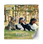 Kalendarz ścienny kwadratowy Lux 2024 33x33cm Psy
