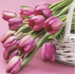 Serwetki Daisy Lunch Wiosna Falling Pink Tulips...SDWI007501