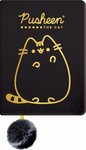 NOTES PLUSZOWY A5 96K PUSHEEN GOLD