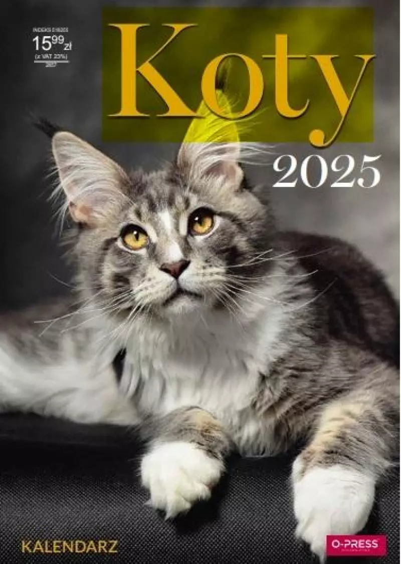 Kalendarz ścienny 2025 A3 Koty