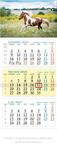 Kalendarz trójdzielny 2025 Konik
 KT13